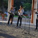 Harsonaszó a Zenepavilonban