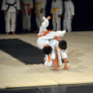 Budo Gála a Hagymaházban