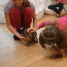 Táncbemutató a MAKK-ban!