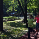Egészségnap a Gimnáziumban és a Petőfi Parkban